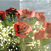 3mm-8mm Clear Patterned Glass with High Quality & Reasonable price 